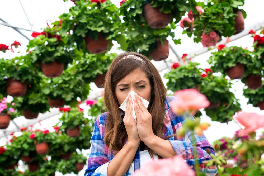 Лучшие враги аллергии: изучаем специальные приложения для аллергиков