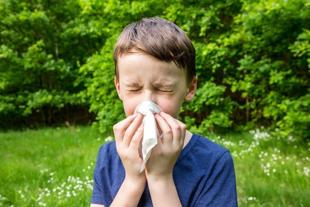 Почему возникает аллергический насморк