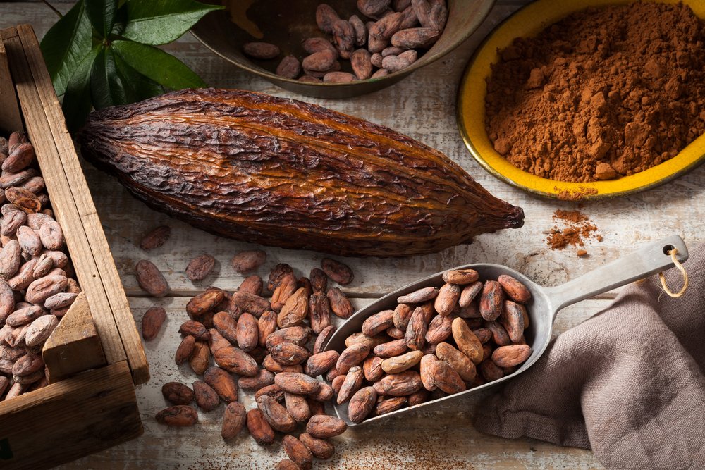 Какао-бобы — основа шоколадного рецепта