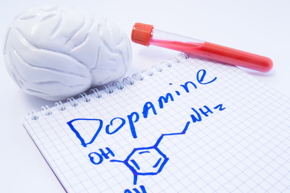 Наведение на цель и дофаминовая «петля»