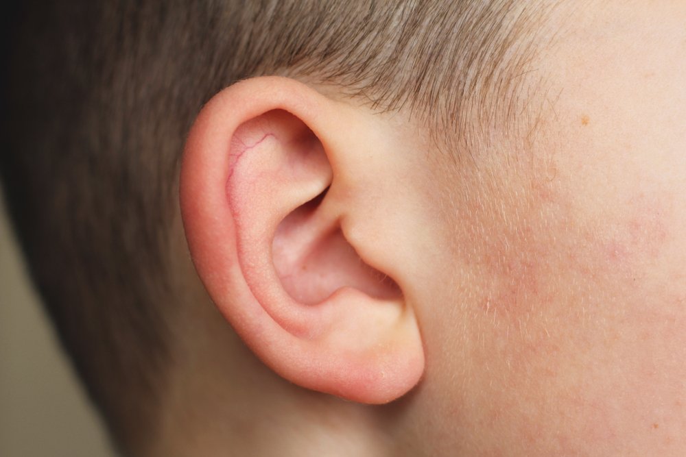 Маленькие уши и дерматит
