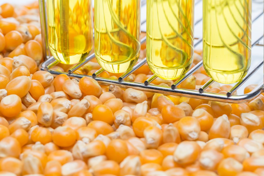 Миф шестой: питание с ГМО — причина рака