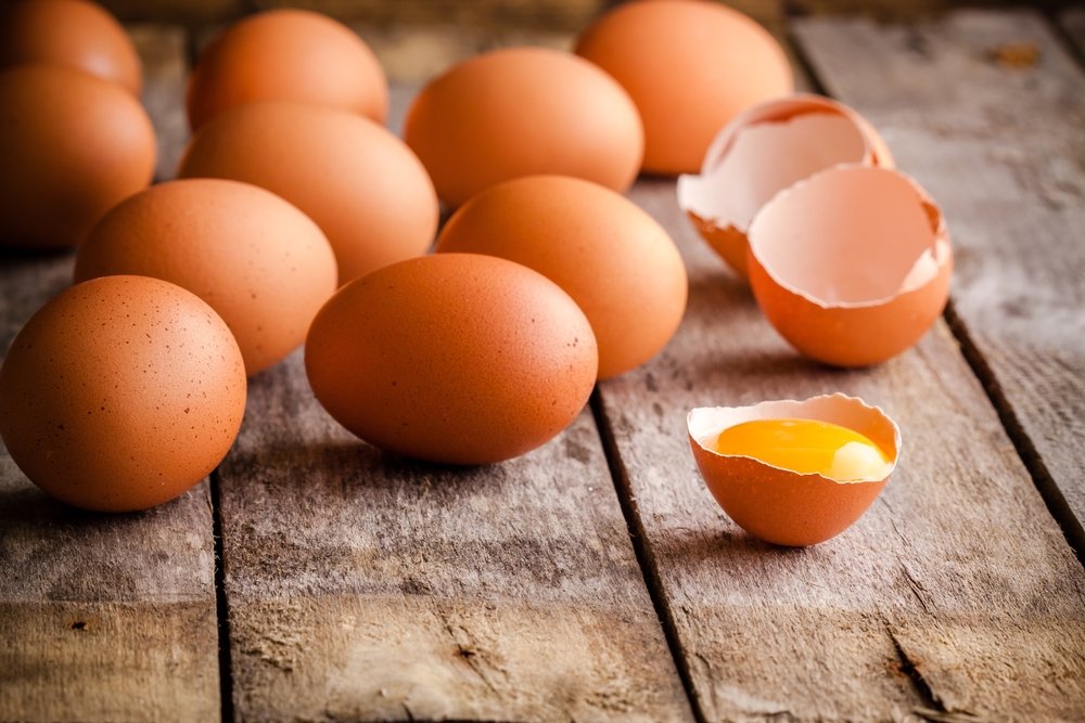 Наука о яйцах