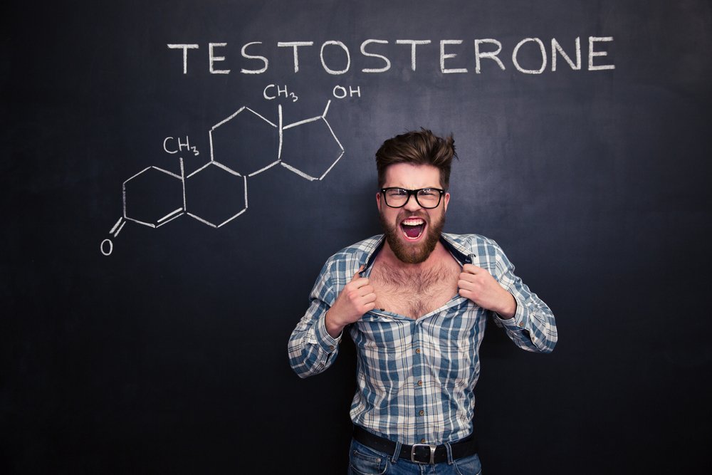Как работает тестостерон?
