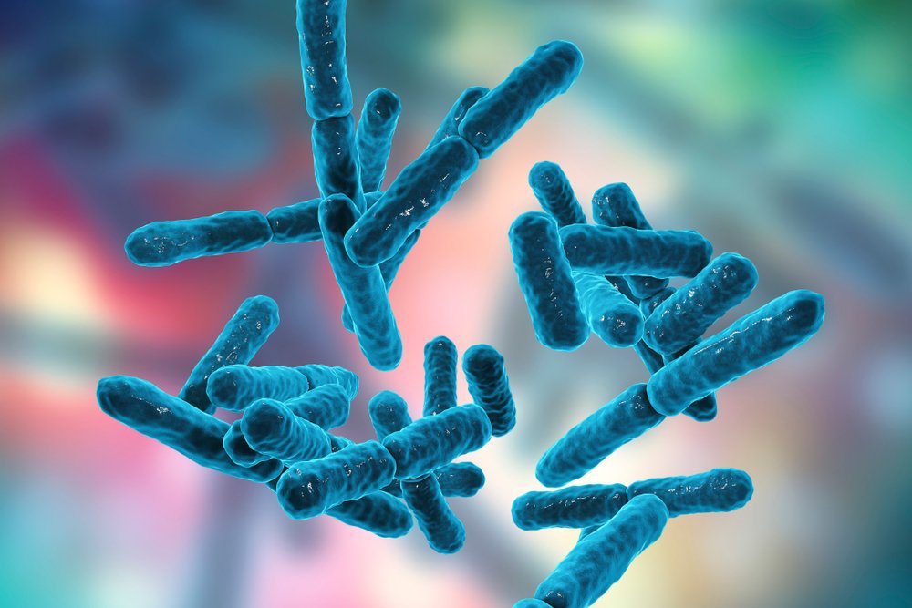 Пробиотики — «правильные» бактерии и грибки