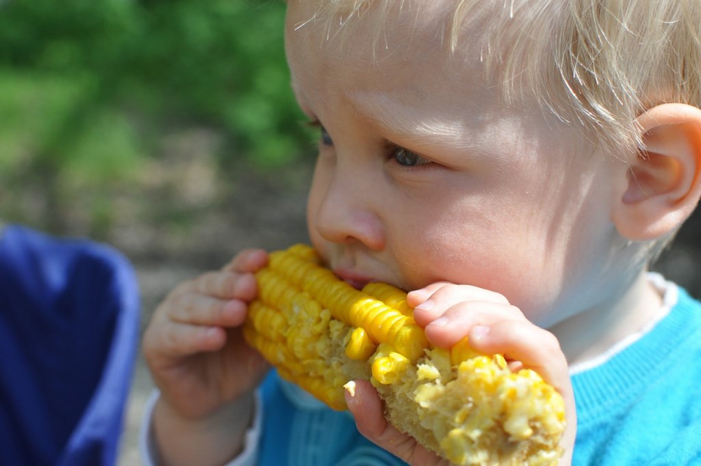 Как приготовить кукурузу в мультиварке? Источник: pixabay.com