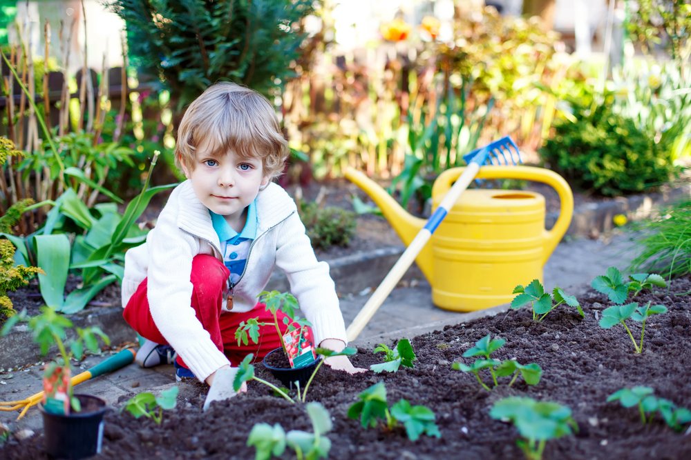 Как выбрать растения для детей?
