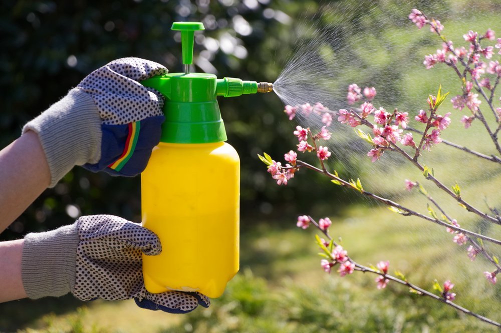 Органические продукты и токсичные пестициды