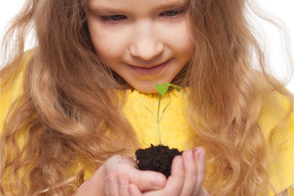 Счастливый момент детства: наблюдать, как прорастают семена