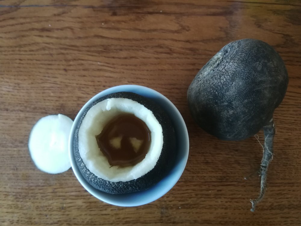 Черная редька с медом от кашля: рецепт классический