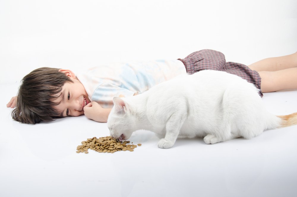 Как приучить детей ухаживать животными
