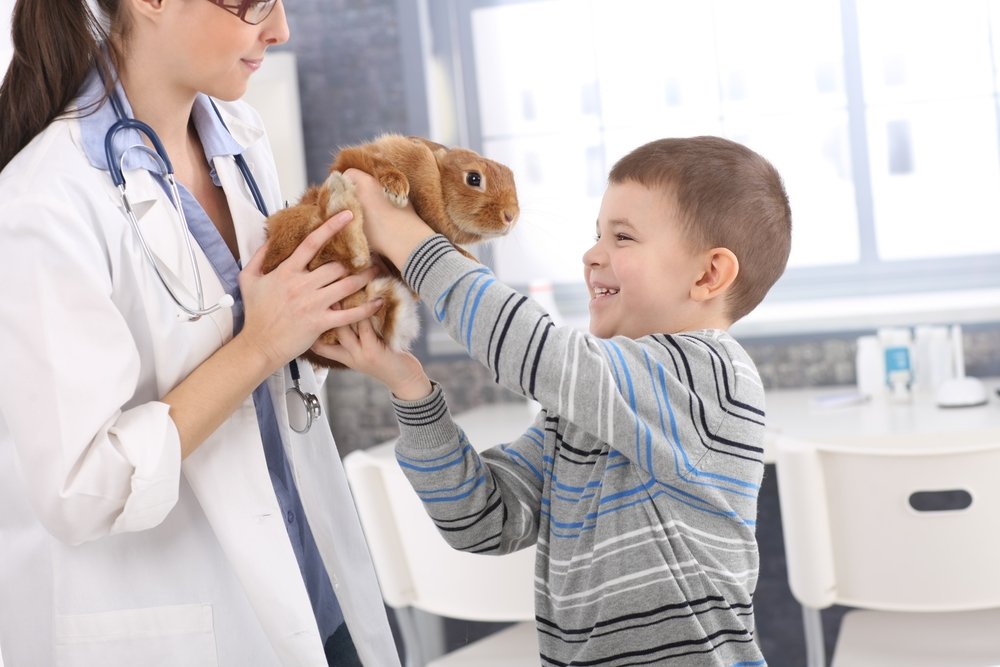 Безопасное развитие ребенка: советы врача для контактов с животными