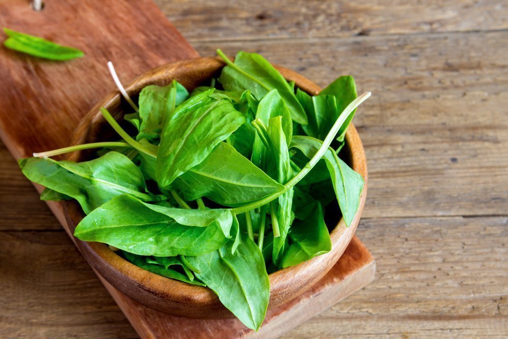 Щавель — вкусная зелень для здорового питания