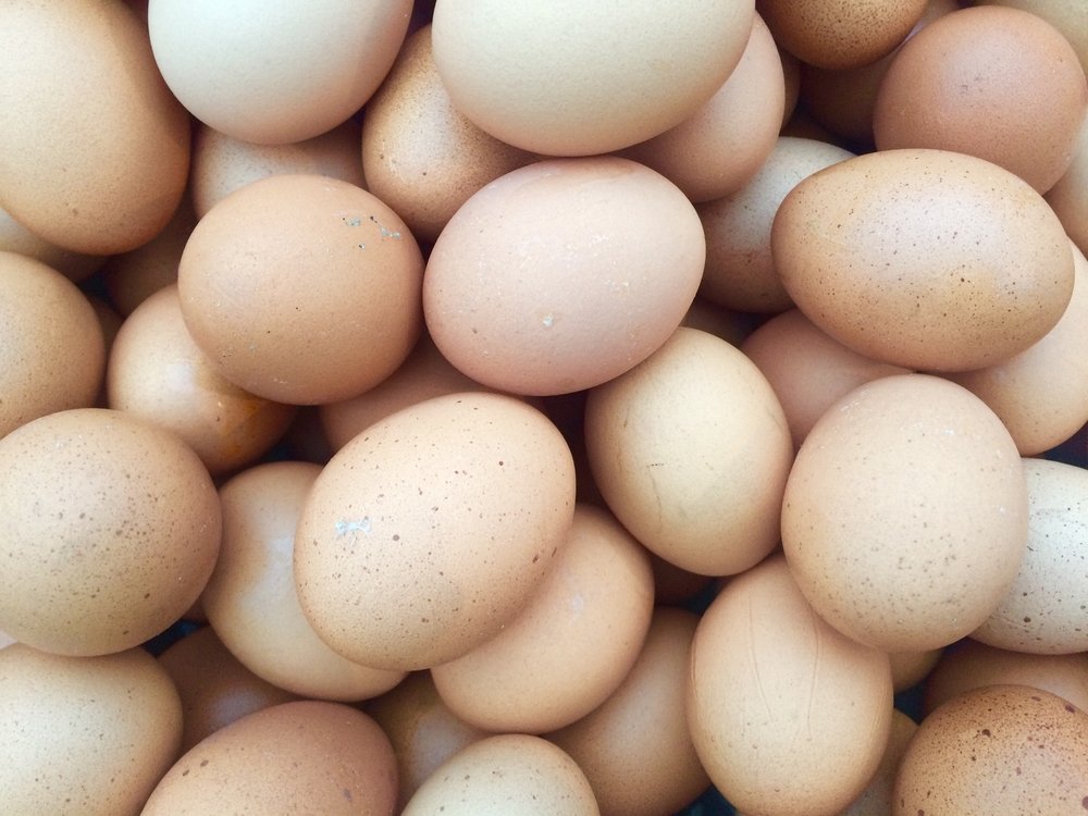 Где можно встретить поддельные яйца: правда и мифы
