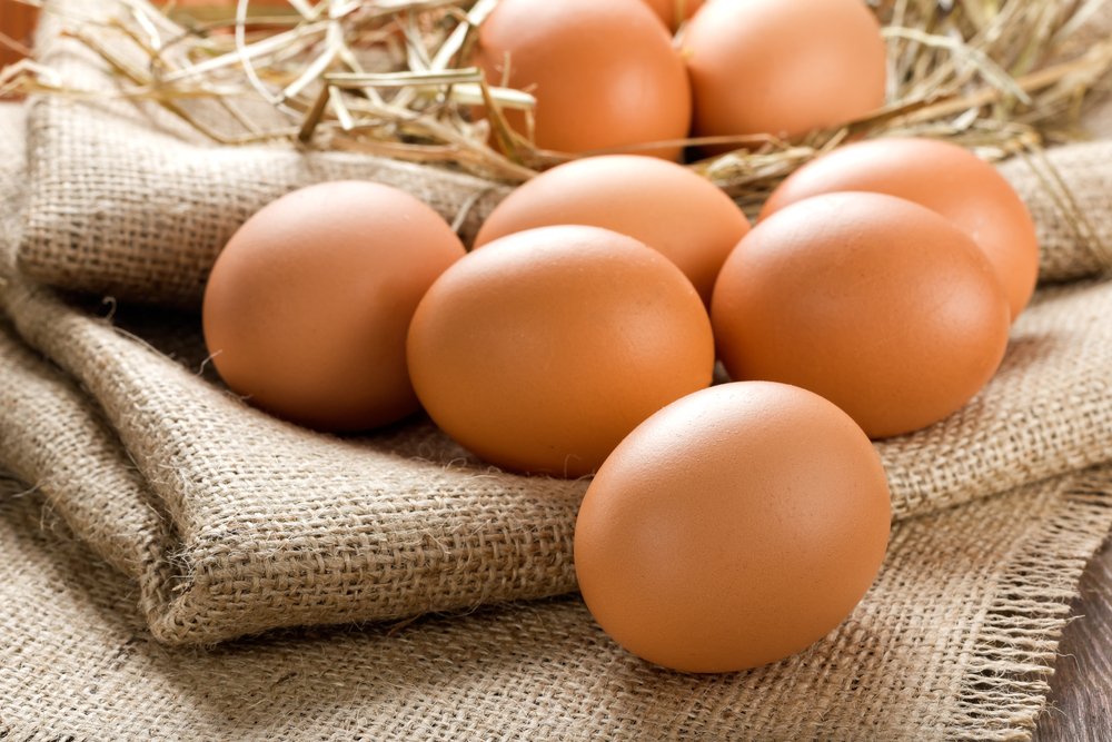 Яйца и бактерии сальмонеллы