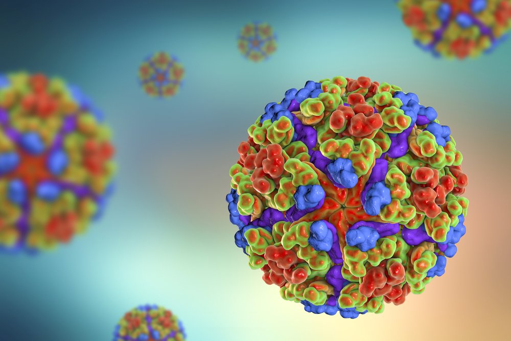 Вирус лихорадки Чикунгунья: особенности инфекции