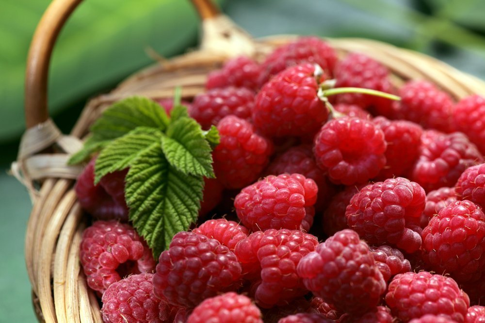 Одна из самых богатых антиоксидантами ягод - спелая малина идеально подходи...
