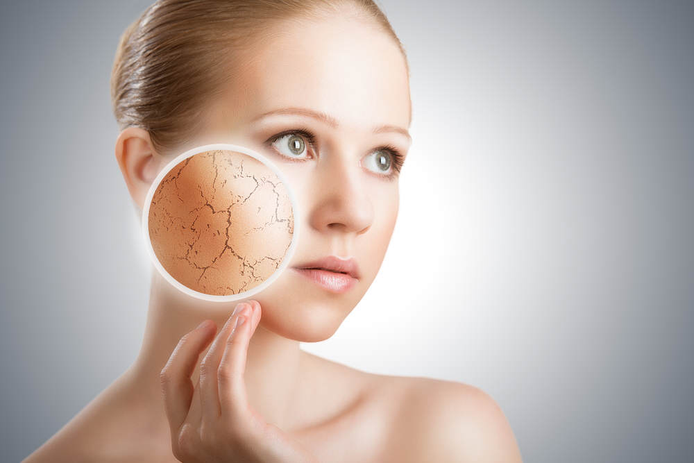Основная проблема сухой кожи лица: анатомические особенности