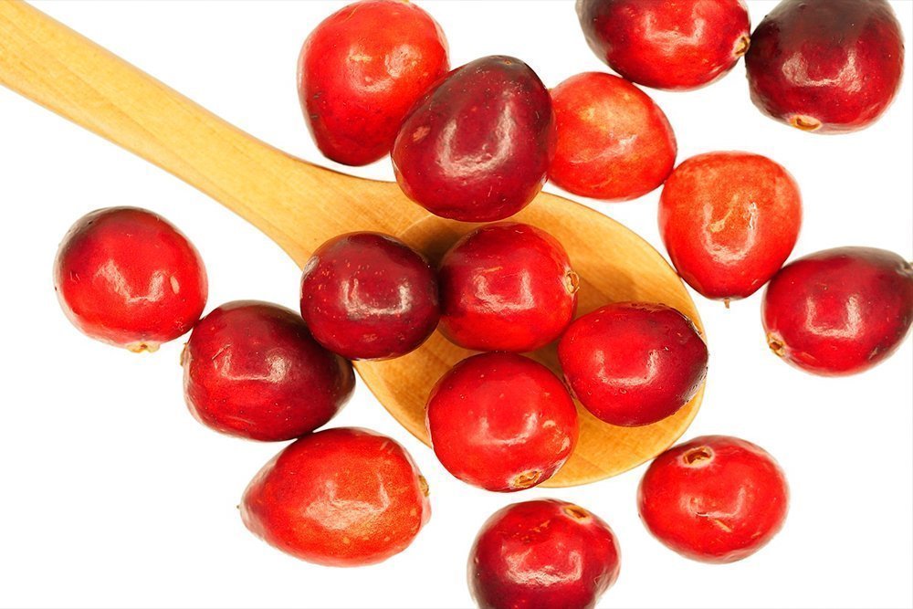 Клюква — применение ягод в лечении цистита