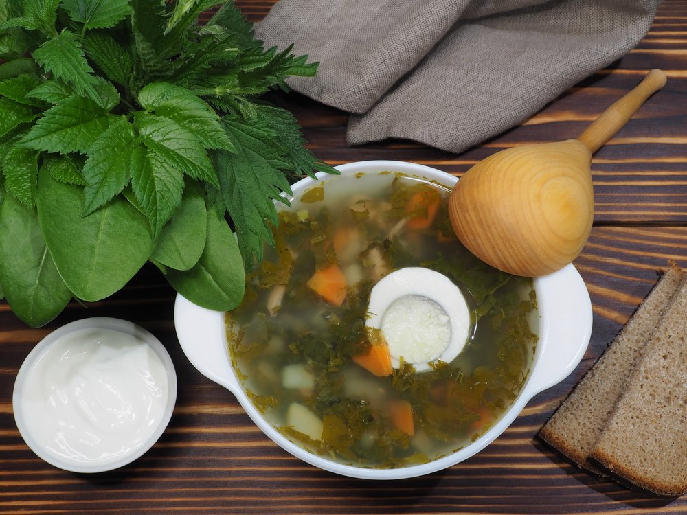 Холодный щавелевый суп из свежей зелени