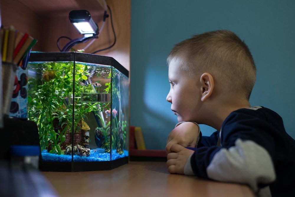 В чем польза аквариума для детей?