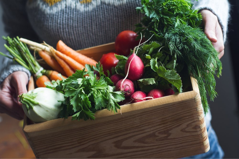 Фрукты и овощи, доступные в зимнее время года