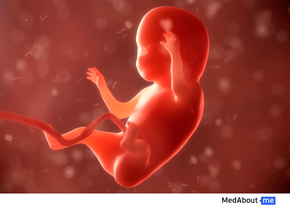 Отличается ли эмбрион естественного зачатия от эмбриона при ЭКО?