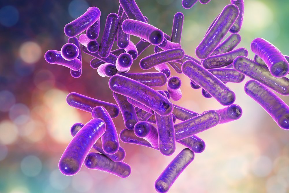 Опасные бактерии — провокаторы болезни