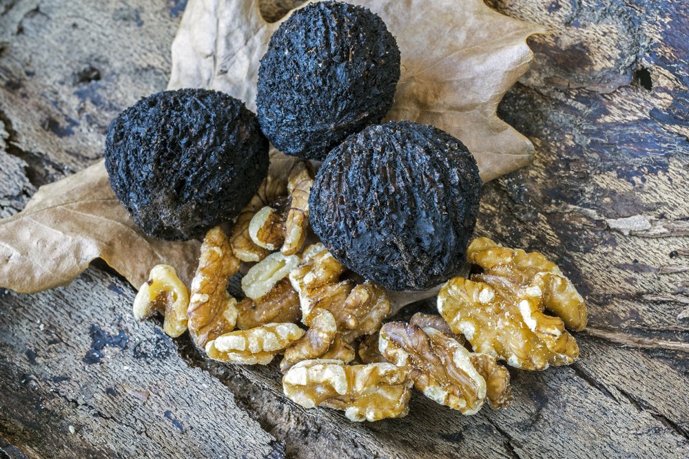 2. Черные грецкие орехи: поддерживают здоровый вес
