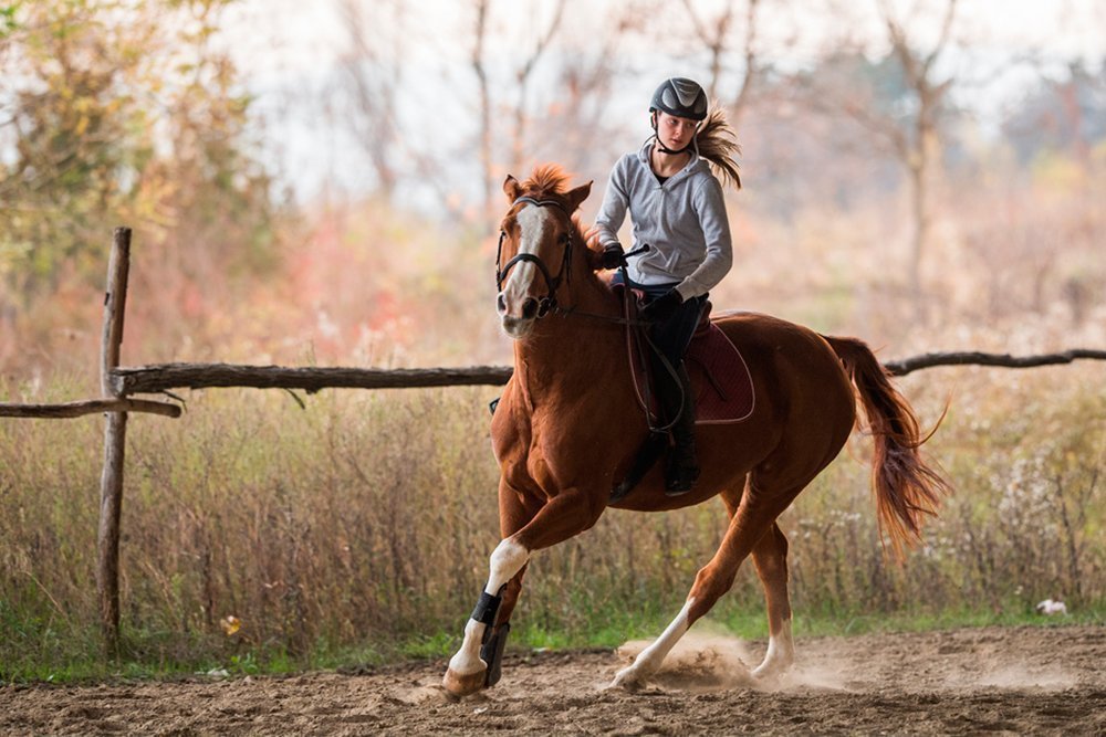 Конный спорт как альтернатива силовых упражнений для женщин