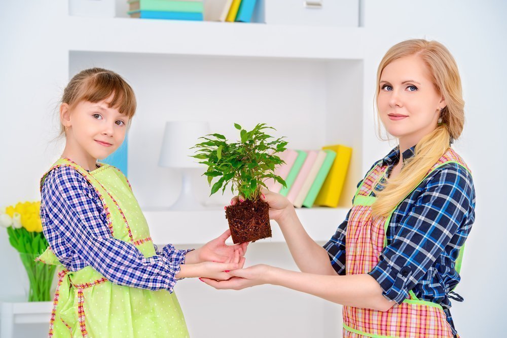 Могут ли быть полезны растения для детей