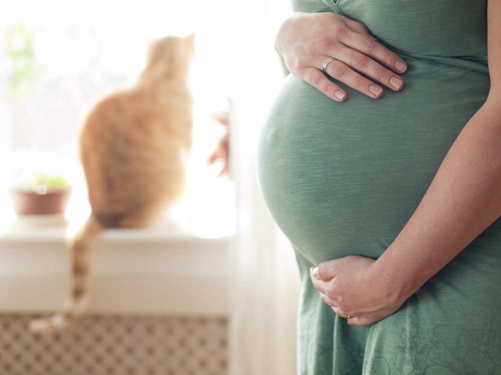 Токсоплазмоз – опасное заболевание при беременности