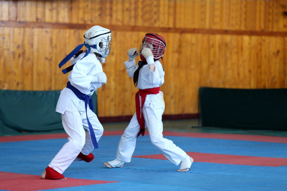 Виды боевых искусств и особенности тренингов