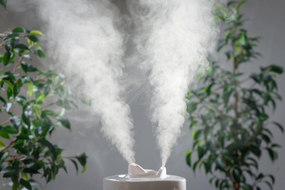 Очистители воздуха: предупреждение развития аллергии