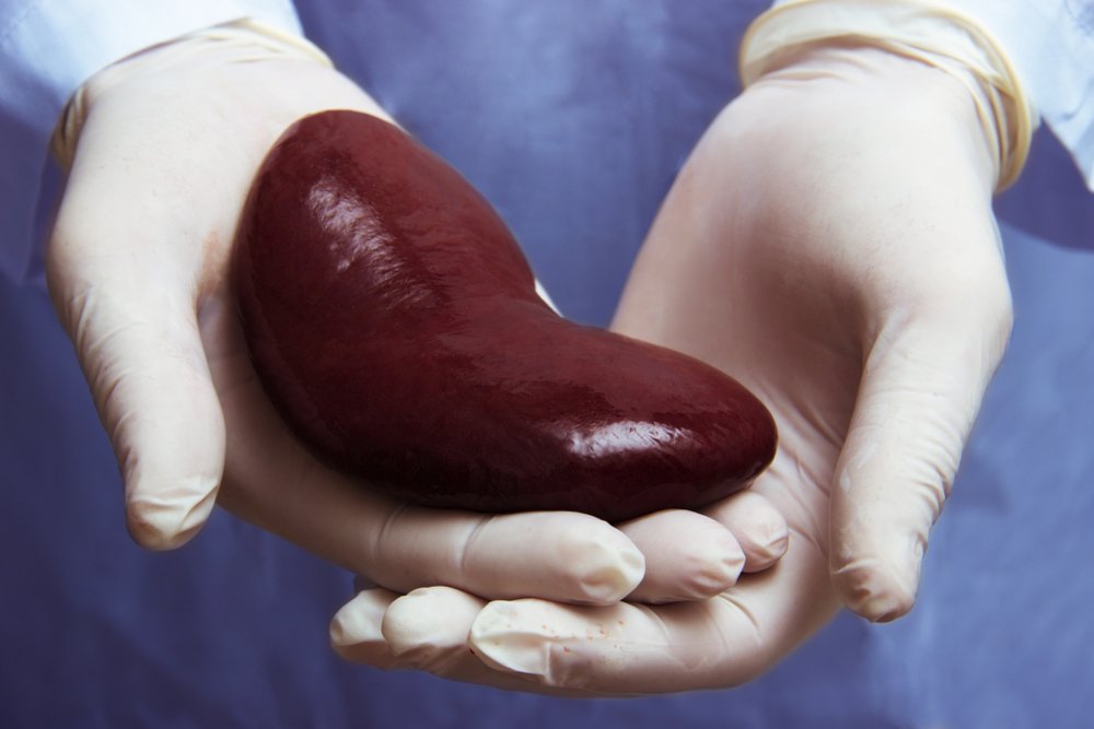 Трансплантация и тело человека: зачем нужна эта процедура?