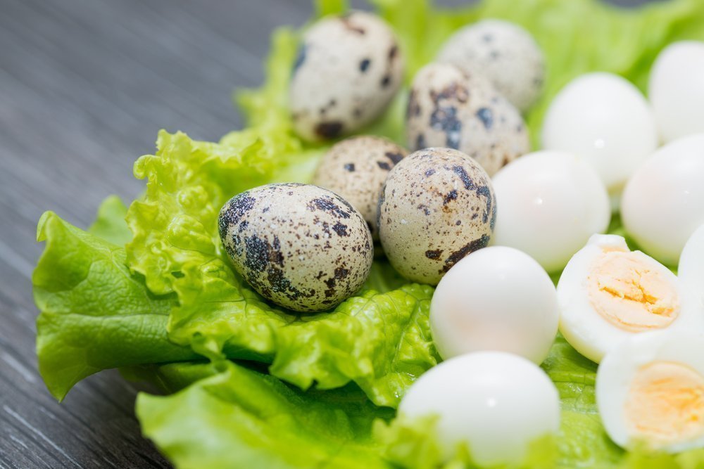 Перепелиный яйца в рационе питания: польза продукта