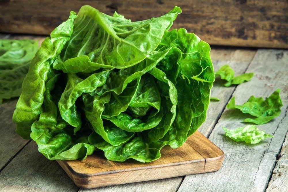 Листовой салат — незаменимый компонент в меню диеты для здоровья и похудения