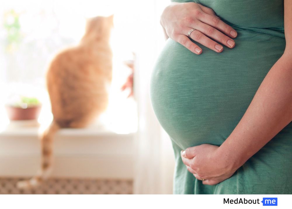 Токсоплазмоз – опасное заболевание при беременности
