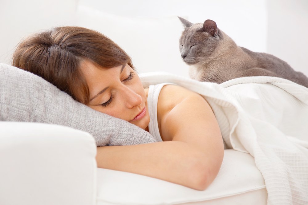 Привычка спать с домашними животными