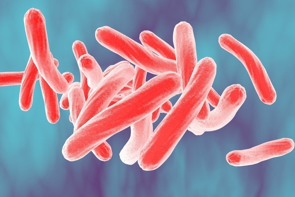 Симптомы при кавернозной форме туберкулеза