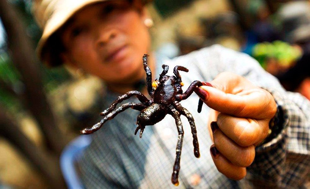 Гигантские жареные пауки, Камбоджи Источник: rs.izum.ua