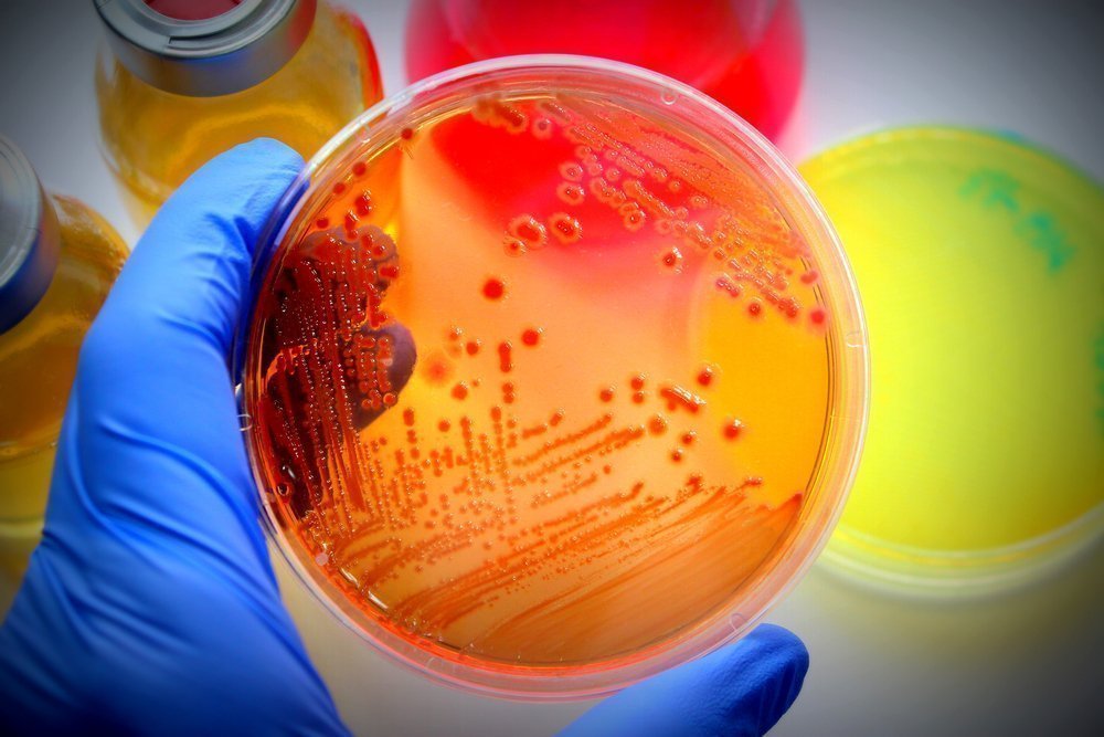 Самые опасные летние бактерии