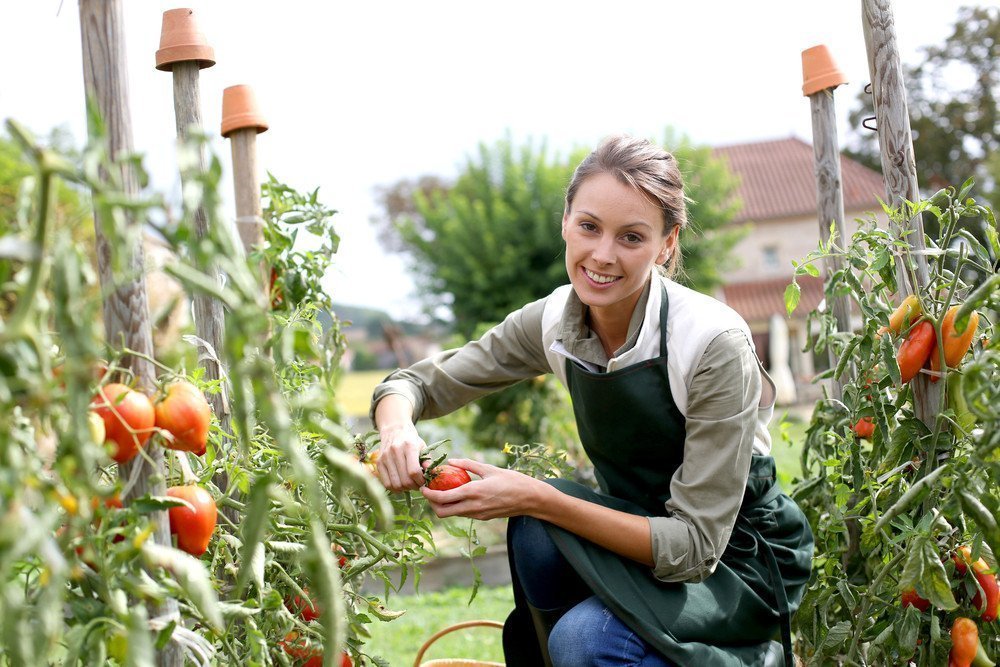 Prevenzione delle malattie: buone abitudini di giardinaggio