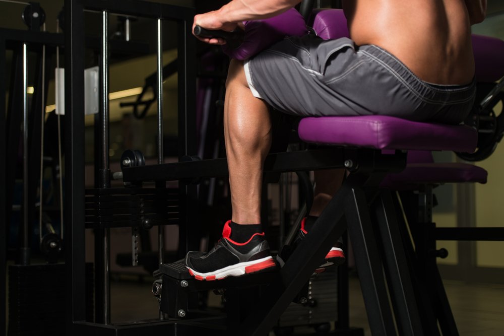 На какие мышцы нужно обратить внимание при выполнении упражнений на икры?