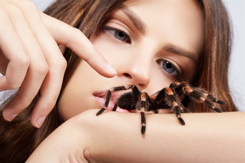 Способы лечения фобии пауков