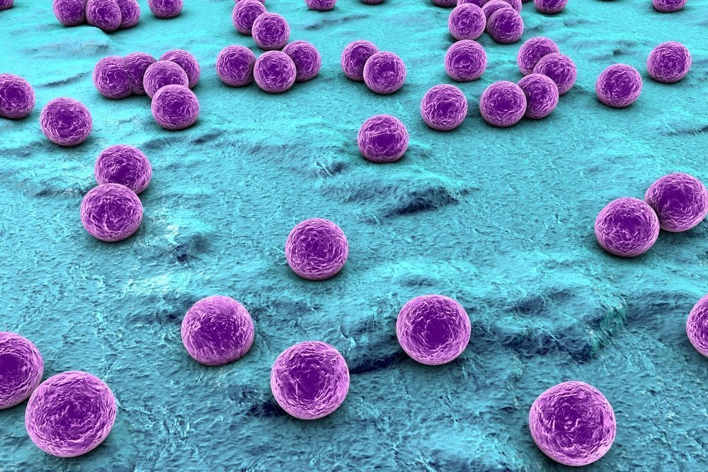 Признаки отравления токсинами бактерий