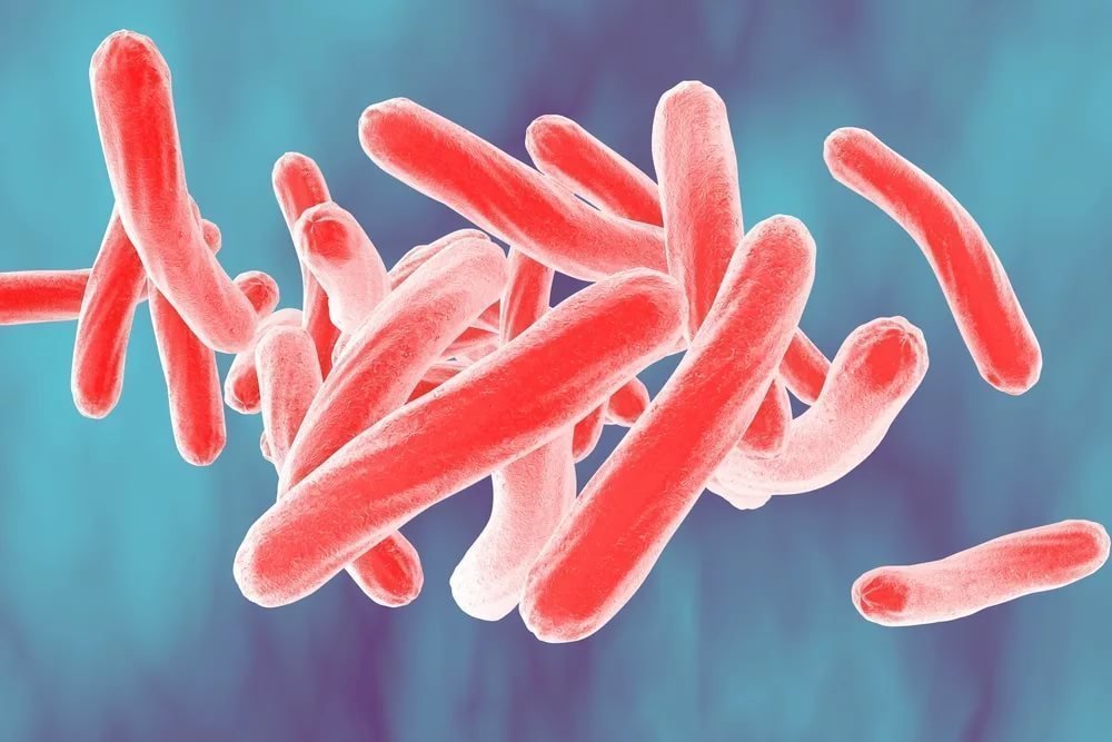 Бактерии, провоцирующие патологию