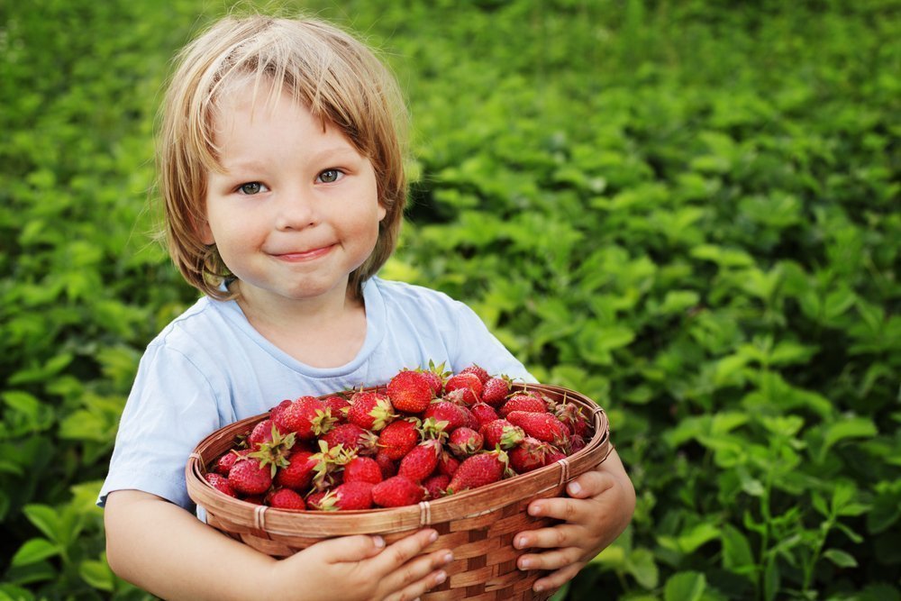 Что нужно знать родителям о ягодах
