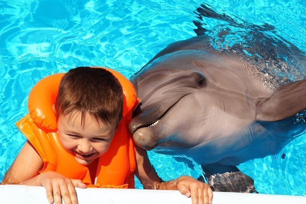 Лечение детей посредством игр с дельфинами: советы врача