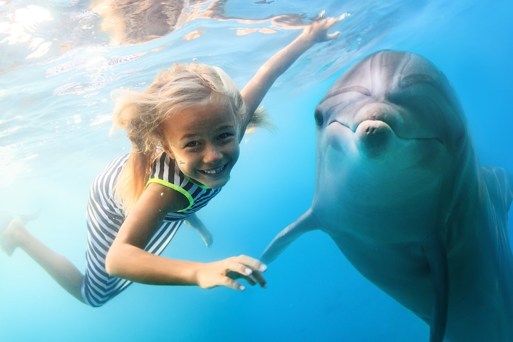 Главная задача взаимодействия детей и дельфинов — положительные эмоции
